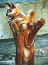 Possum - Red Cedar