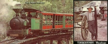 The Green Hornet Train at Timbertown Wauchope